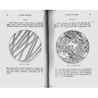 Livros/Acervo/F/fonviele maravilhas 2