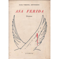 Livros/Acervo/M/montenegro maria pi