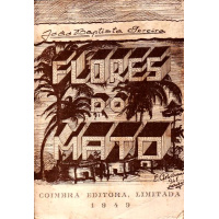 Livros/Acervo/P/pereira joao baptista