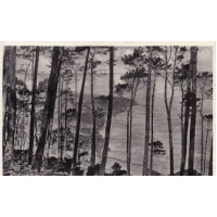 Postais/acores 0003