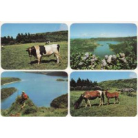 Postais/acores 0011