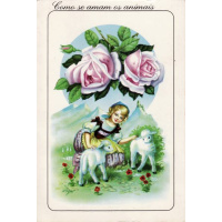 Postais/animais 0055