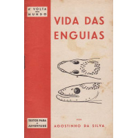 Livros/Acervo/S/silva agostinho da