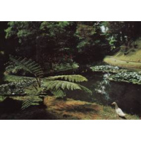 Postais/acores 0017